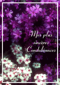 Fleurs rouges et violettes pour vos pens&eacute;es